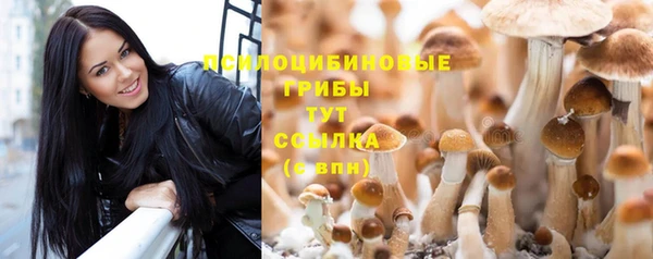 кокаин колумбия Алексин