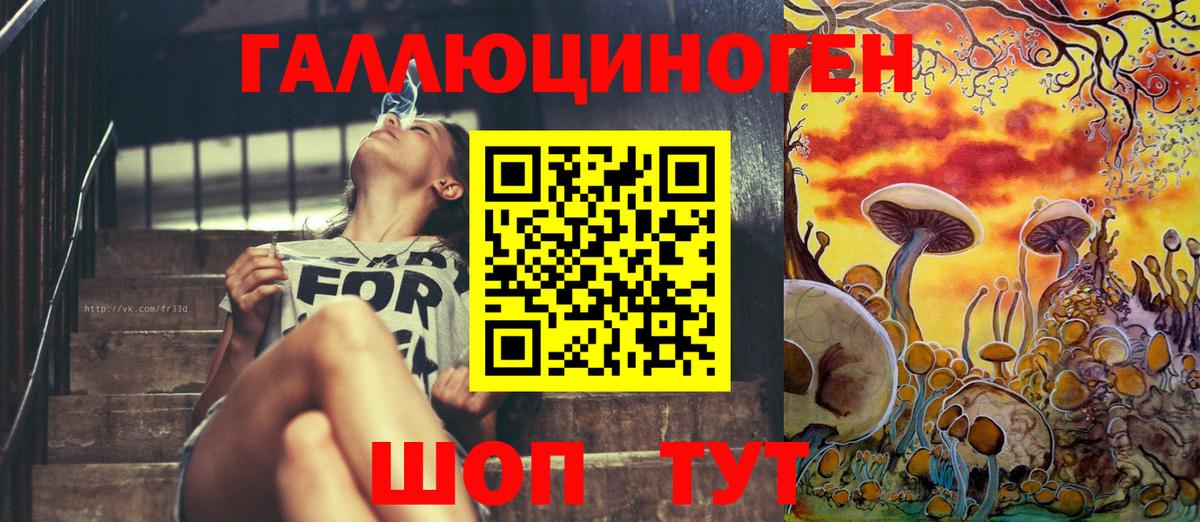 Псилоцибиновые грибы MAGIC MUSHROOMS  Вход с VPN  Глазов 